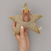 coral & tusk pocket star