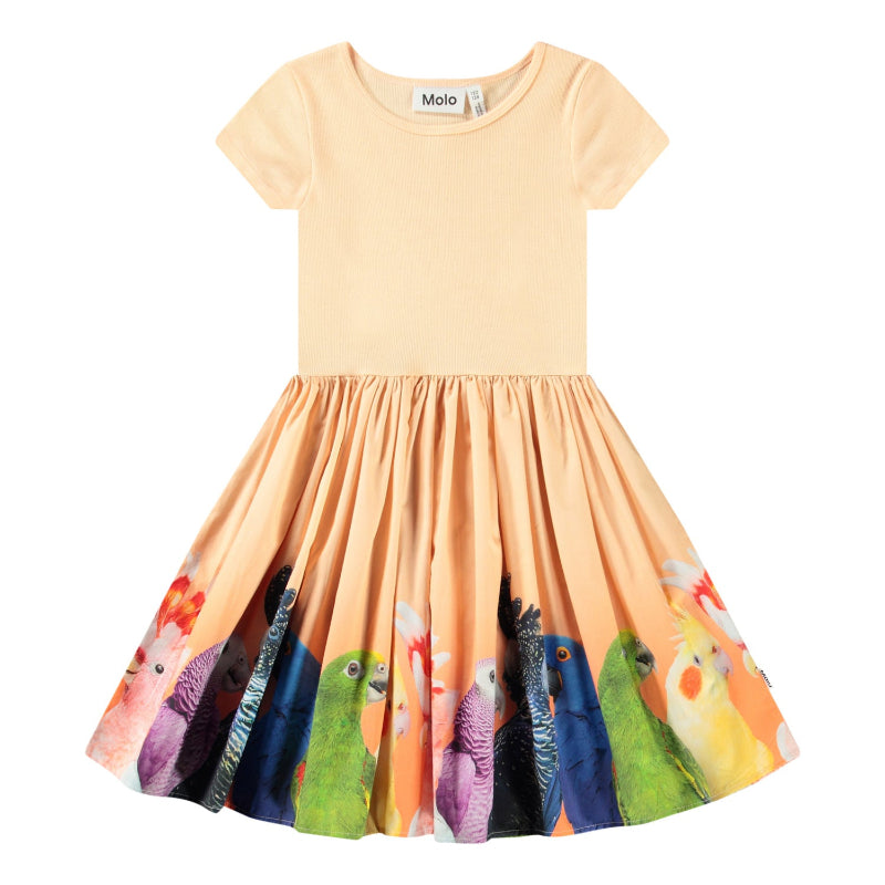 molo cissa dress rainbow parrots