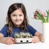 eco kids egg coloring & seed growing kit