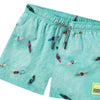 molo niko swim short ocean surfers