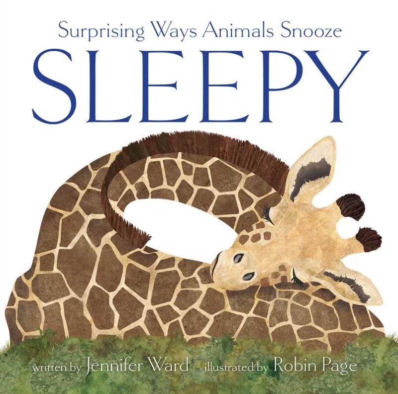 sleepy, surprising ways animals snooze