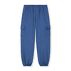 gray label cargo sweatpants blue moon