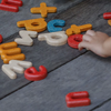 plantoys lower case alphabet