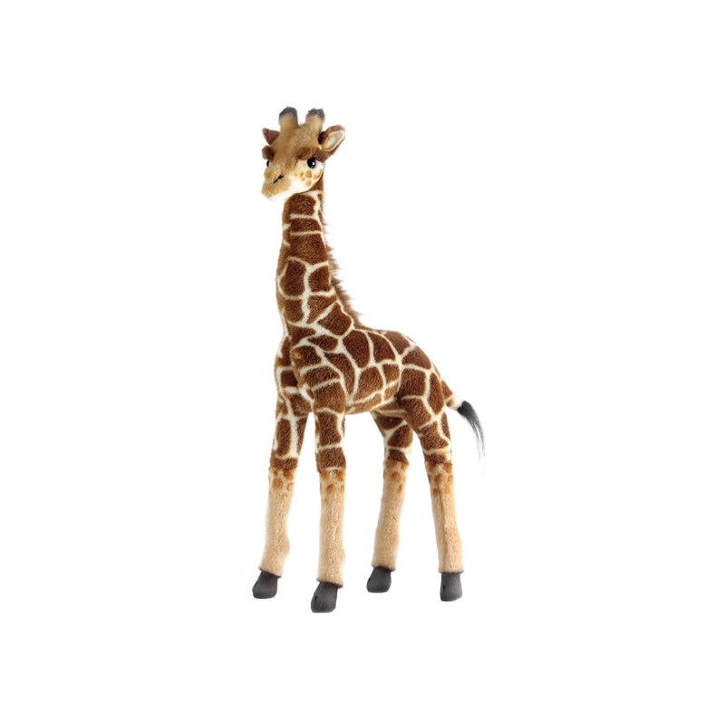 hansa giraffe