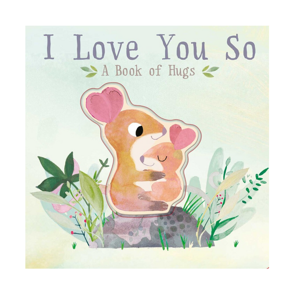 i love you so board book