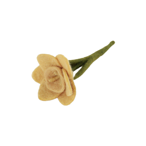 gry & sif daffodil flower small