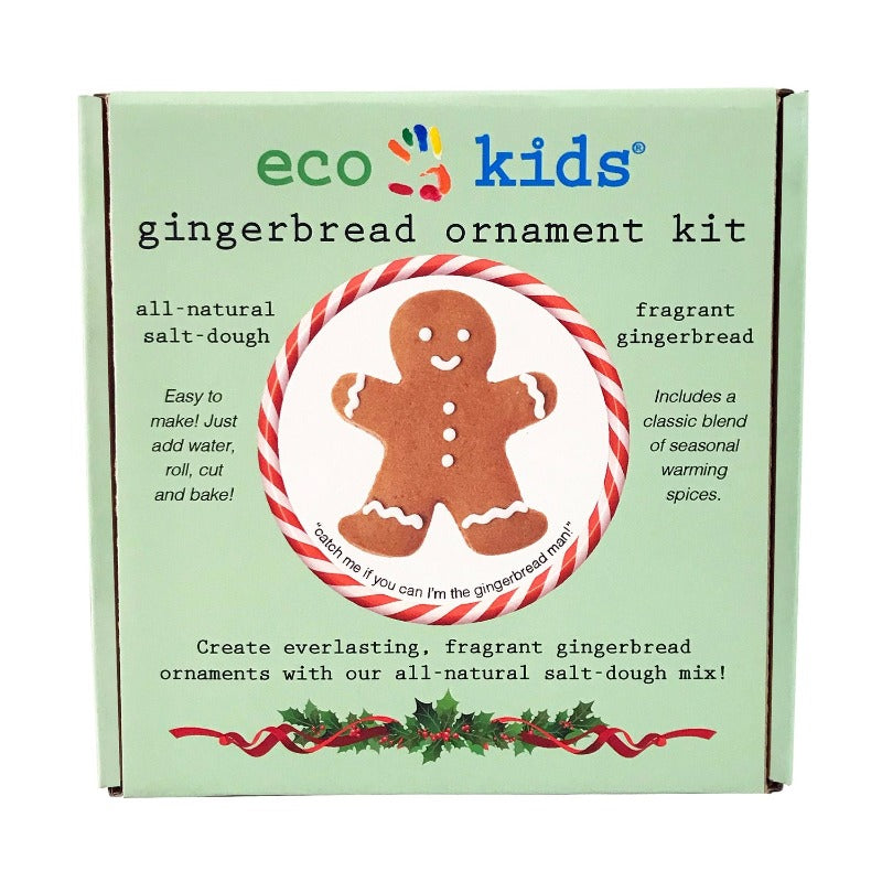 eco kids gingerbread ornament kit