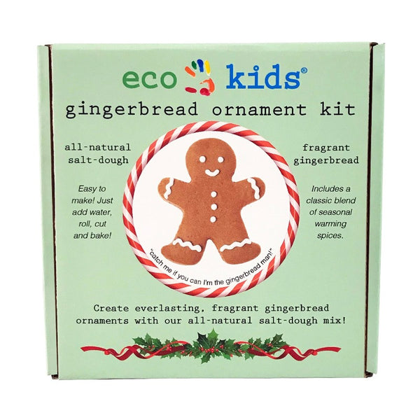 eco kids gingerbread ornament kit