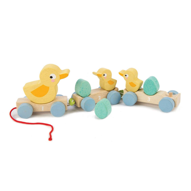 tender leaf toys pull along ducks