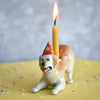 golden retriever birthday cake topper