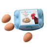 eco kids bouncy eggs